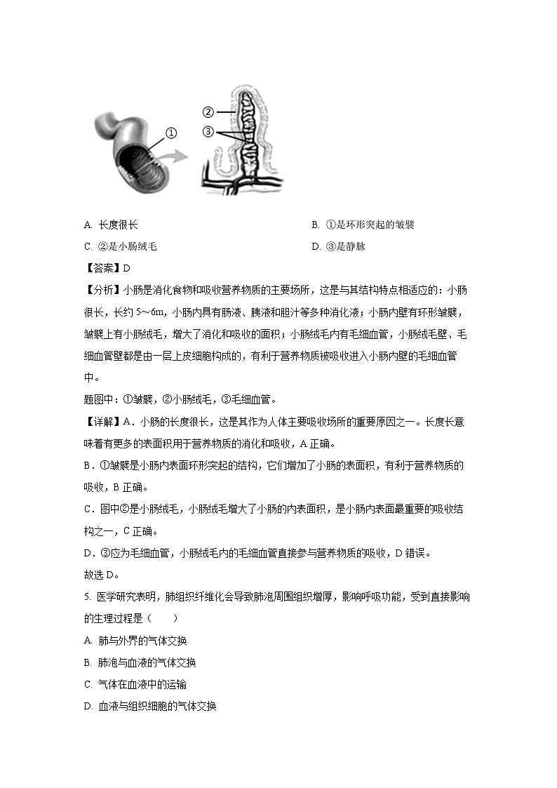 广西玉林市2024--2025学年七年级下学期期末生物试卷(解析版)第3页