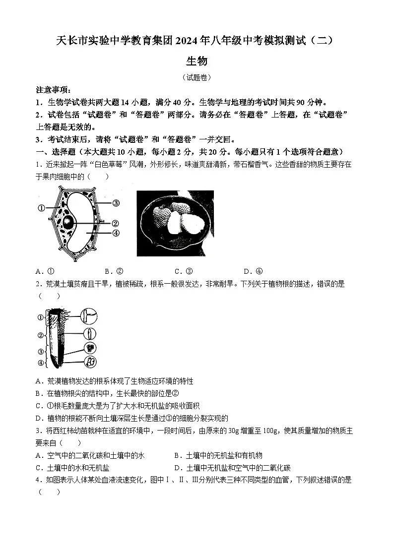 【8生二模 初二会考】2024年安徽省滁州市天长市实验中学教育集团八年级中考二模生物试题第1页