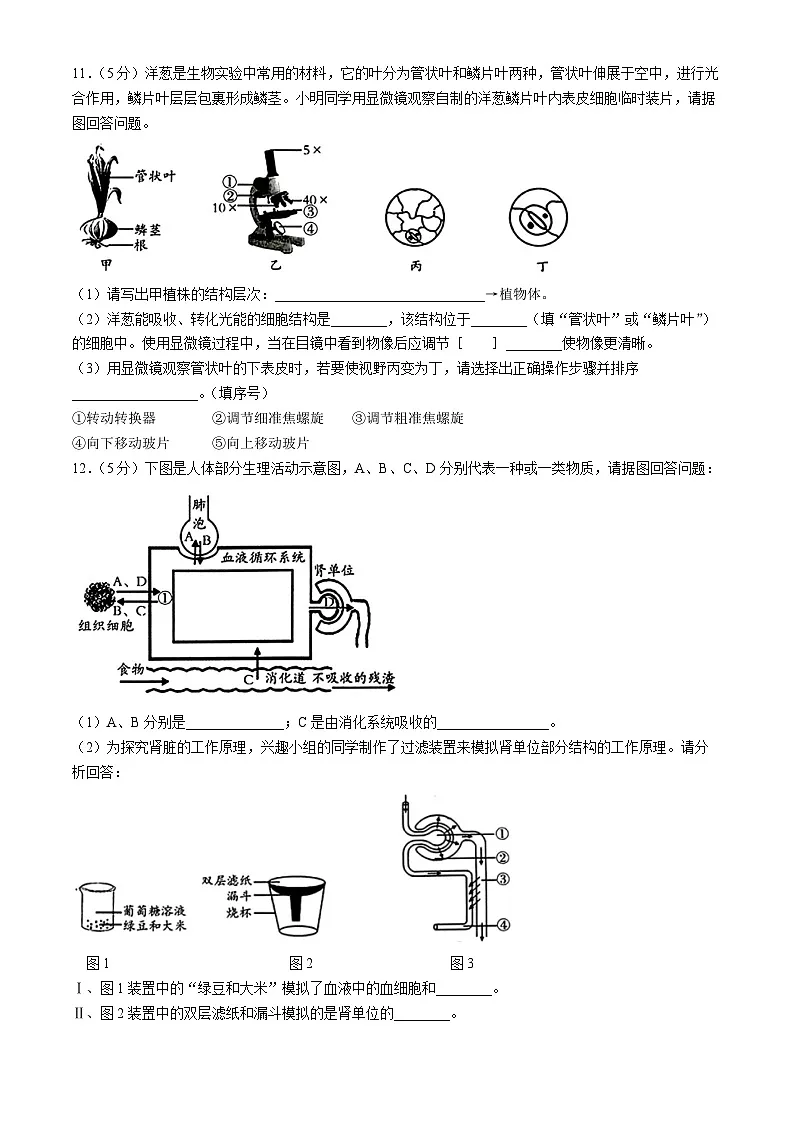 【8生二模 初二会考】2024年安徽省滁州市天长市实验中学教育集团八年级中考二模生物试题第3页