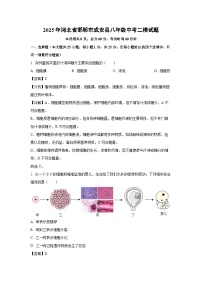 2025年河北省邯郸市成安县八年级中考二模[中考模拟]生物试卷（解析版）