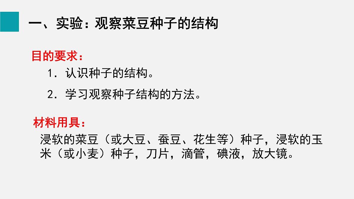 第二节 种子植物(课件)2025年人教版七年级生物上册第3页