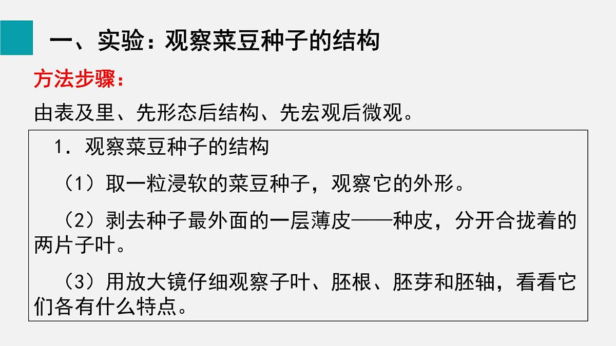 第二节 种子植物(课件)2025年人教版七年级生物上册第4页