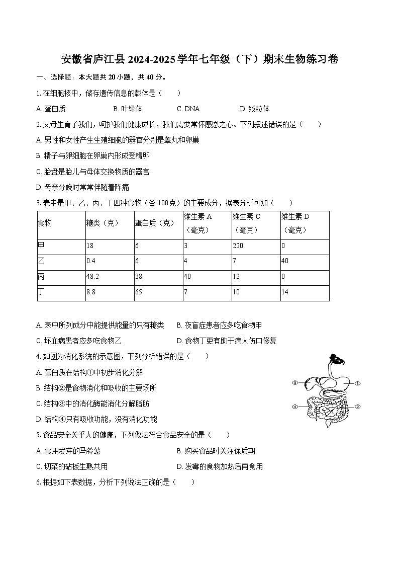 【7生(RJ)期末练习】庐江县2024-2025学年七年级下学期期末生物试卷第1页