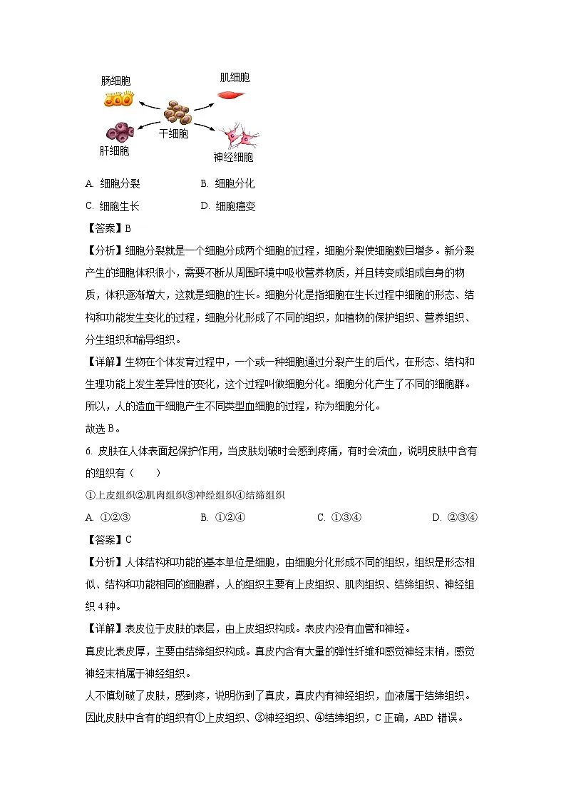 江苏省徐州市多校2024-2025学年七年级下学期期末生物试卷(解析版)第3页