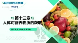 第13章 人體對(duì)營(yíng)養(yǎng)物質(zhì)的獲?。◤?fù)習(xí)課件）-2025-2026學(xué)年八年級(jí)生物上冊(cè)（蘇科版2024）