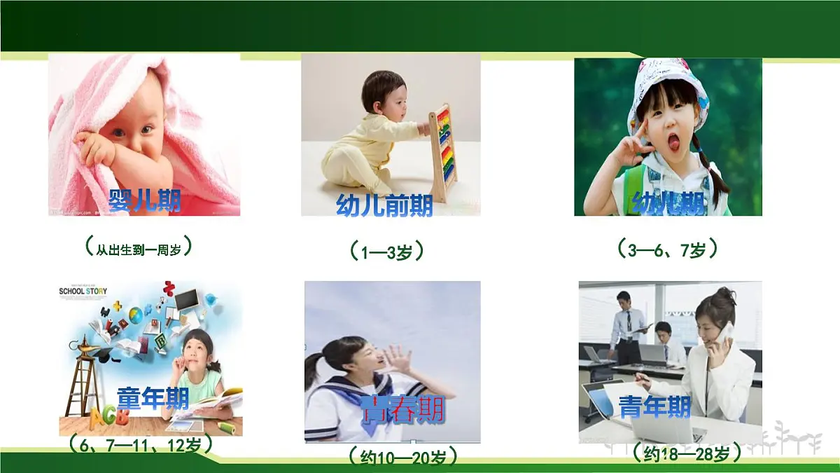 4.1.2青春期课件-人教版生物七年级下册第2页