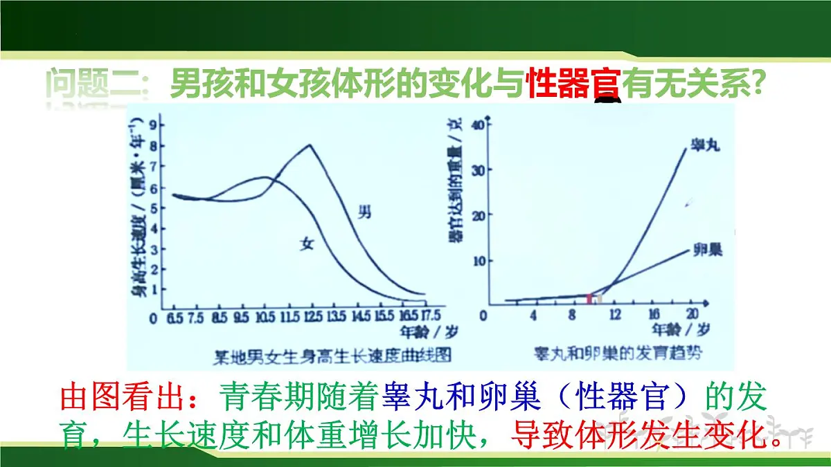 4.1.2青春期课件-人教版生物七年级下册第7页