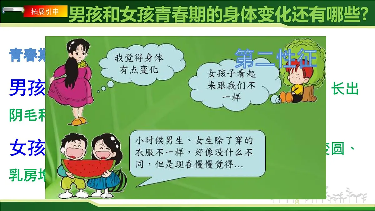 4.1.2青春期课件-人教版生物七年级下册第8页
