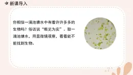 【核心素養(yǎng)目標】魯科版生物六年級上冊2.2.4《單細胞生物》課件