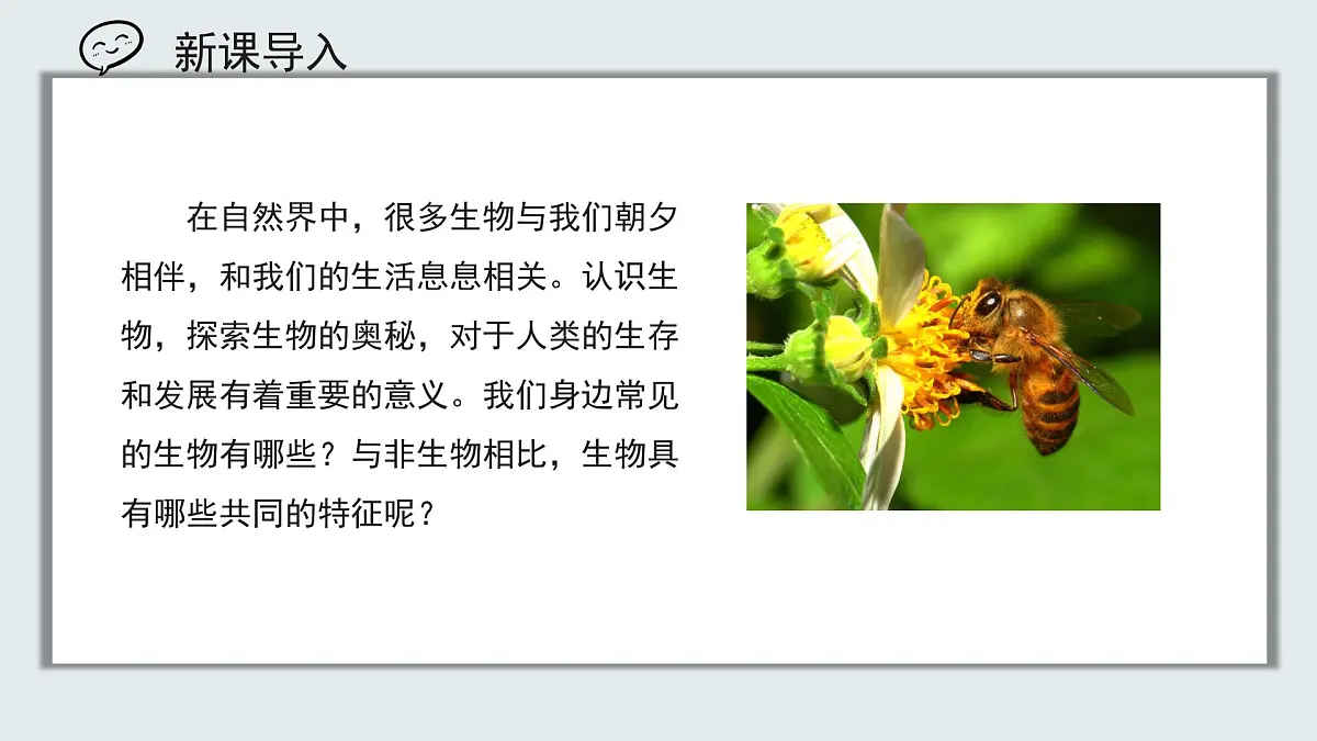 【核心素养目标】北京版初中生物七年级上册1.1.1《生物的特征》课件第1页