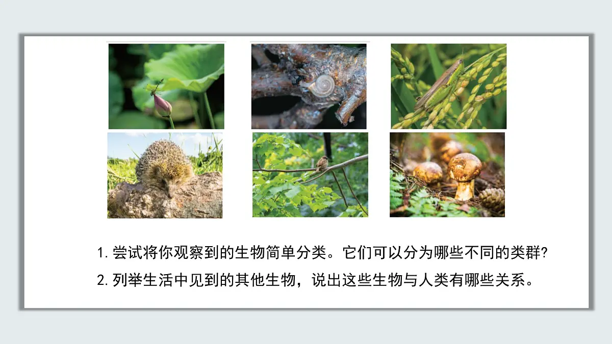 【核心素养目标】北京版初中生物七年级上册1.1.1《生物的特征》课件第5页