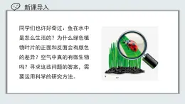 【核心素養(yǎng)目標(biāo)】北京版初中生物七年級上冊1.1.2《生物學(xué)的研究方法》課件