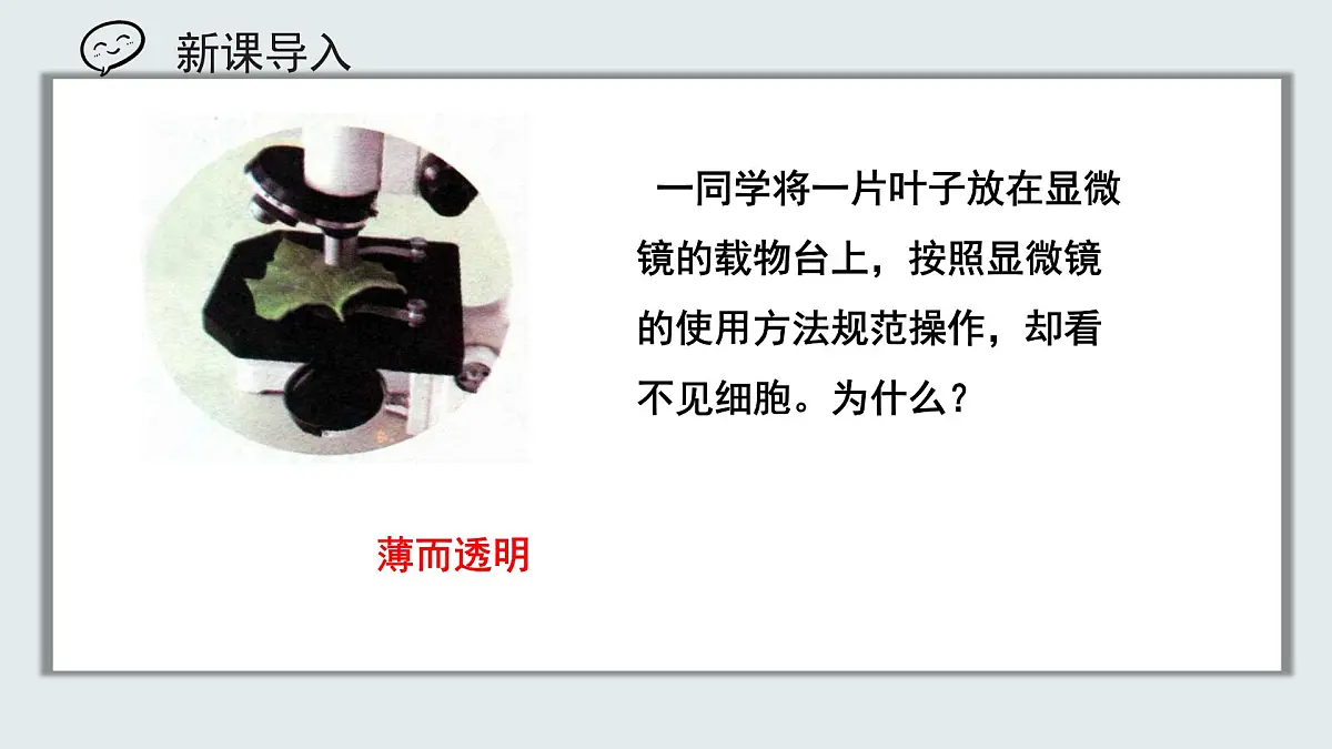 【核心素养目标】北京版初中生物七年级上册1.2.1《细胞》课件第1页