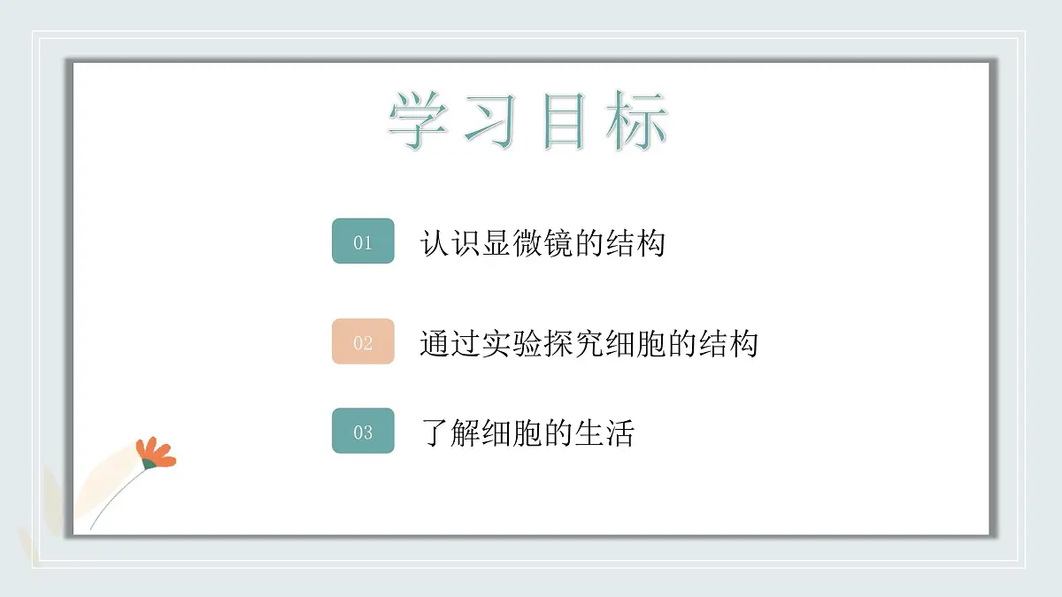 【核心素养目标】北京版初中生物七年级上册1.2.1《细胞》课件第3页