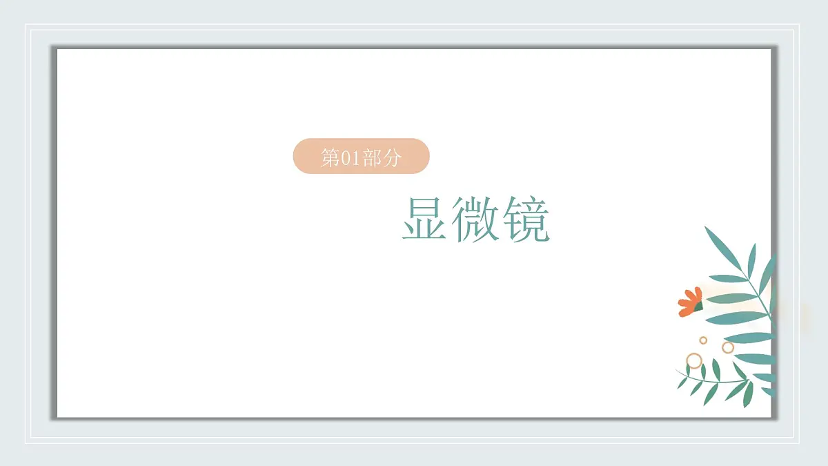 【核心素养目标】北京版初中生物七年级上册1.2.1《细胞》课件第4页