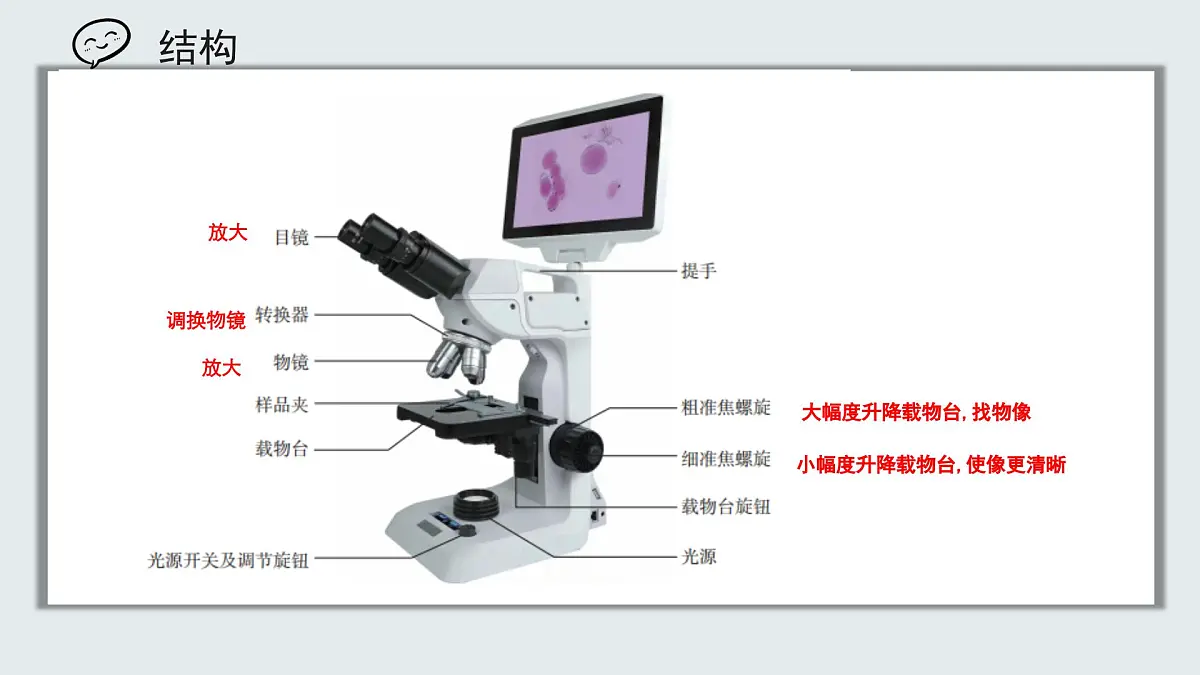 【核心素养目标】北京版初中生物七年级上册1.2.1《细胞》课件第5页