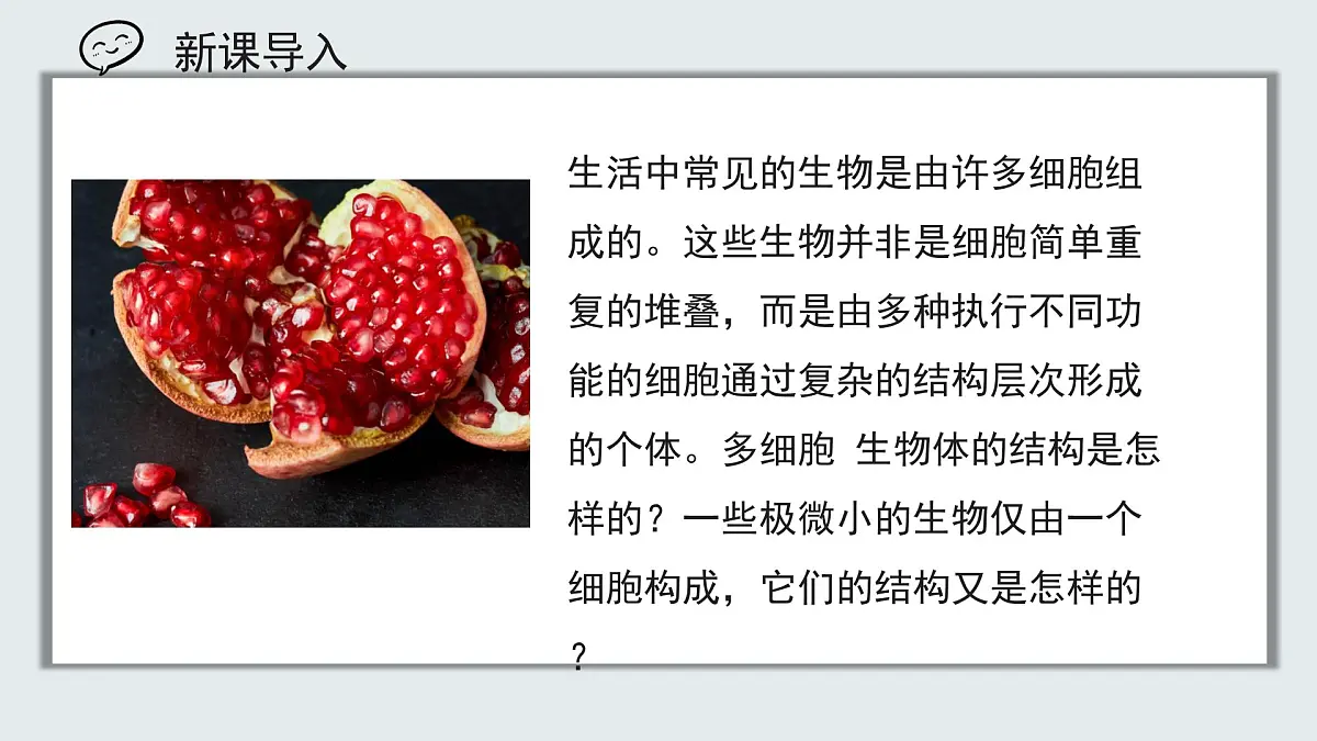 【核心素养目标】北京版初中生物七年级上册1.2.2《生物体的结构层次》课件第1页