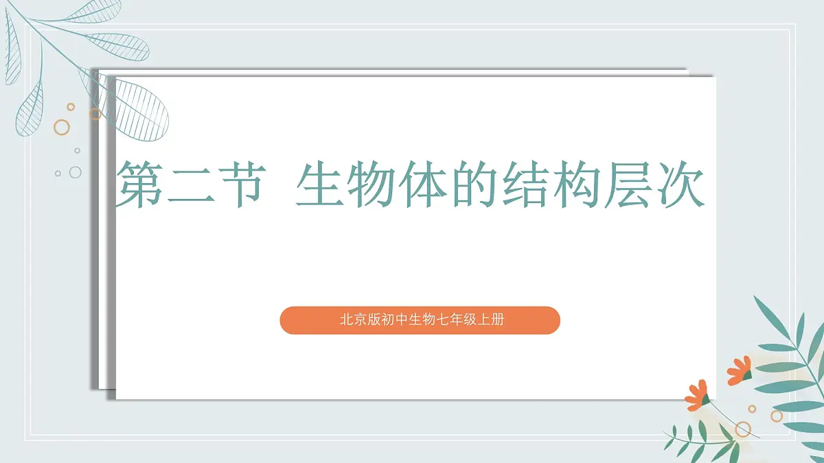 【核心素养目标】北京版初中生物七年级上册1.2.2《生物体的结构层次》课件第2页
