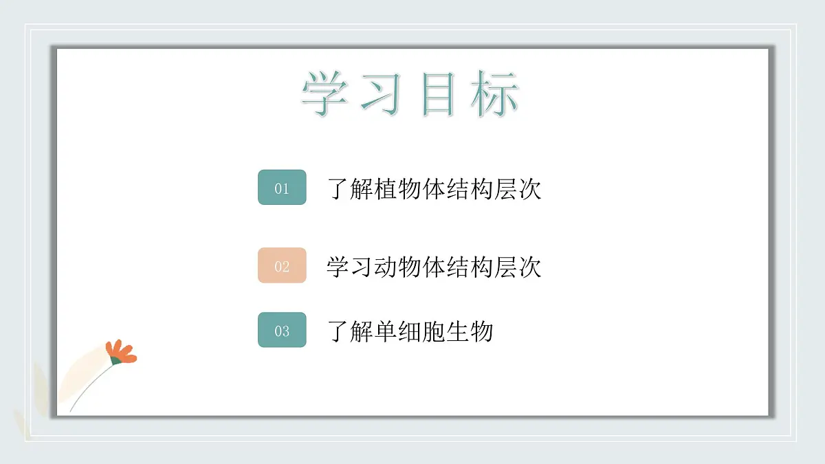 【核心素养目标】北京版初中生物七年级上册1.2.2《生物体的结构层次》课件第3页