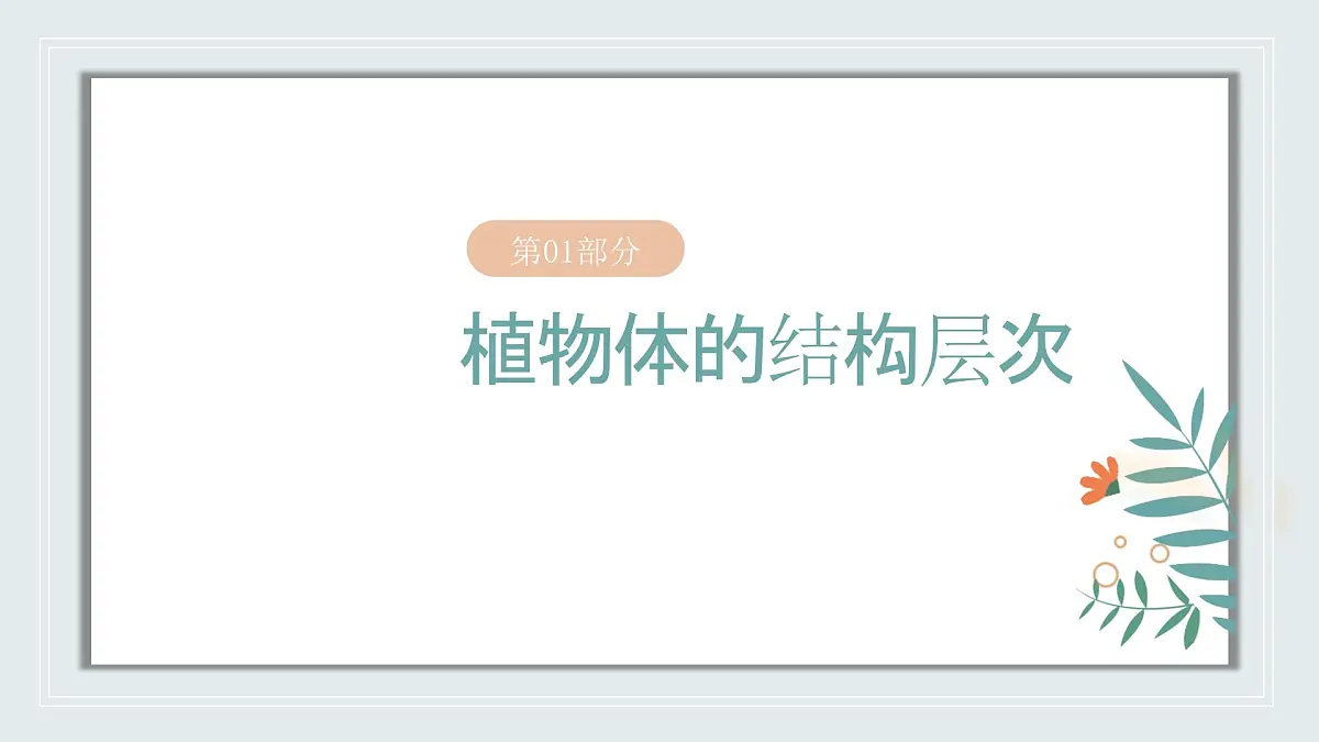 【核心素养目标】北京版初中生物七年级上册1.2.2《生物体的结构层次》课件第4页
