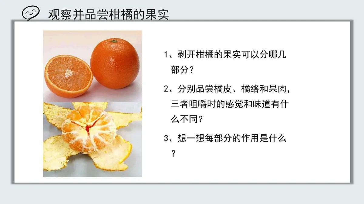 【核心素养目标】北京版初中生物七年级上册1.2.2《生物体的结构层次》课件第7页