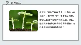 【核心素養(yǎng)目標(biāo)】北京版初中生物七年級上冊2.1.1《植物所需的水和無機鹽》課件