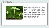 北京版（2024）七年级上册（2024）植物所需的水和无机盐一等奖ppt课件