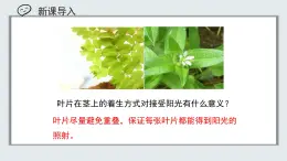【核心素養(yǎng)目標(biāo)】北京版初中生物七年級上冊2.1.2《植物的光合作用》課件