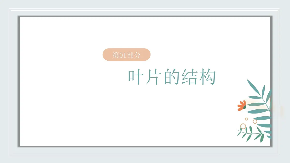 【核心素养目标】北京版初中生物七年级上册2.1.2《植物的光合作用》课件第4页
