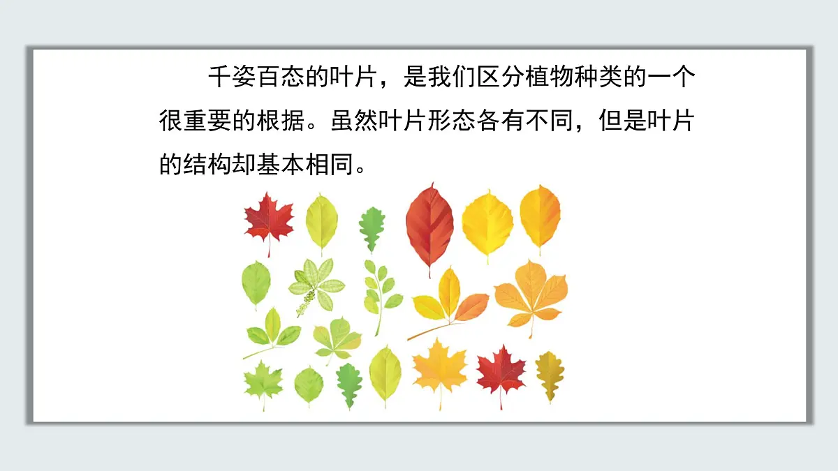 【核心素养目标】北京版初中生物七年级上册2.1.2《植物的光合作用》课件第5页