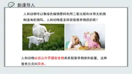 【核心素養(yǎng)目標(biāo)】北京版初中生物七年級上冊2.1.3《人所需的營養(yǎng)》課件