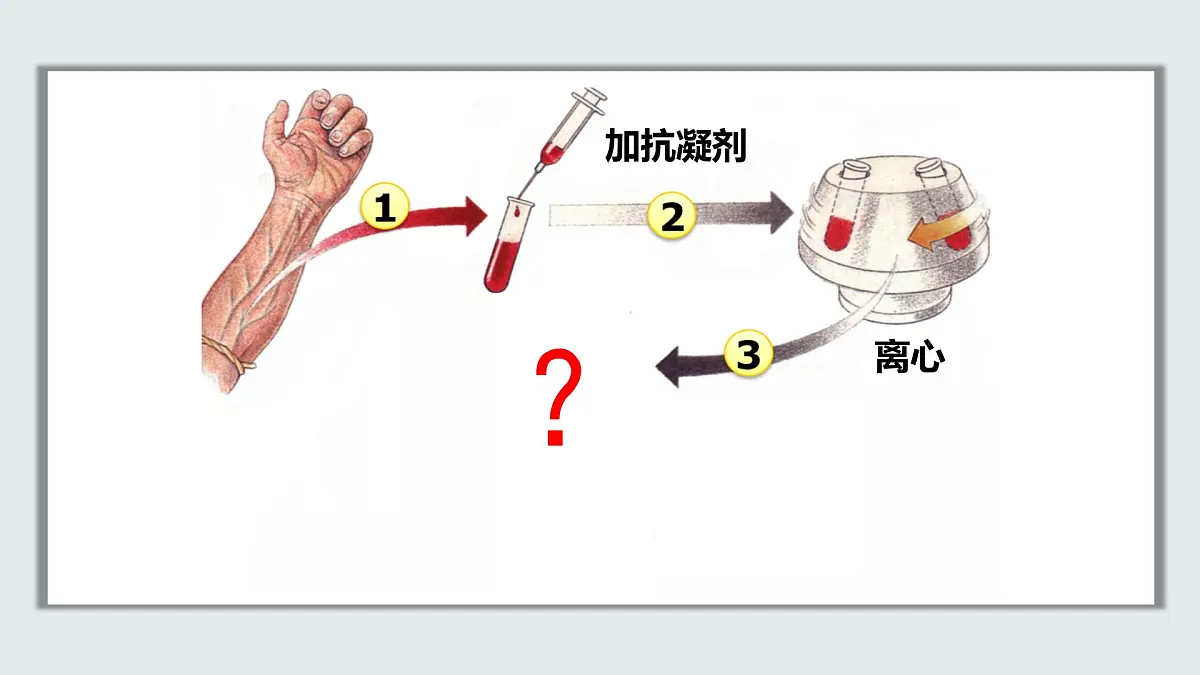 【核心素养目标】北京版初中生物七年级上册2.2.2《人体内的物质运输》课件第5页