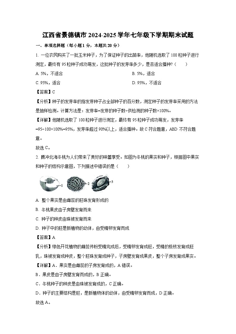 江西省景德镇市2024-2025学年七年级下学期期末生物试卷(解析版)第1页