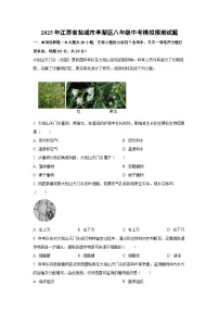 2025年江苏省盐城市亭湖区八年级中考模拟预测生物试卷(解析版)