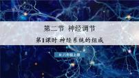 生物八年级上册（2024）第二节 神经调节示范课课件ppt
