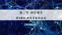 生物八年级上册（2024）第二节 神经调节示范课课件ppt