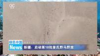 初中生物第五单元 生物与环境第一章 生态系统第一节 生物与环境的相互作用多媒体教学ppt课件