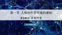 初中生物人教版（2024）八年级上册（2024）第一节 人体对外界环境的感知授课ppt课件