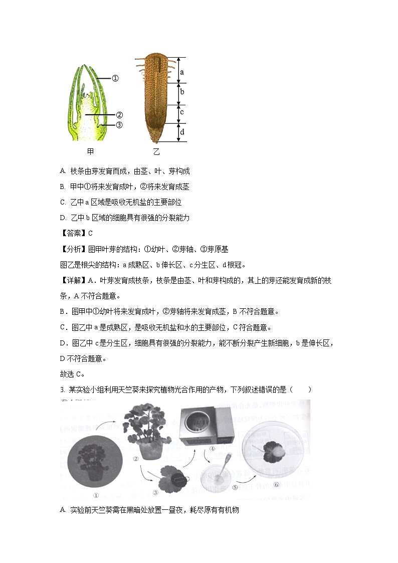 河南省新乡市2024-2025学年七年级下学期期末真题生物试卷(解析版)第2页