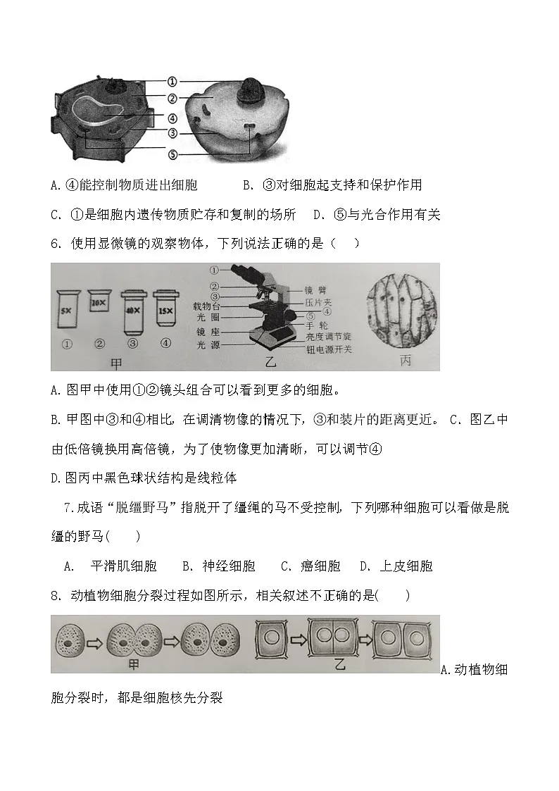 【7生(BS)期末】淮北市濉溪县2024-2025学年七年级上学期1月期末生物试题第2页