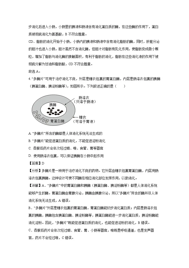 四川省成都市成华区2024-2025学年七年级下学期期末生物试卷(解析版)第3页