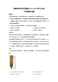 湖南省岳阳市岳阳楼区2024-2025学年七年级下学期期末生物试卷(解析版)