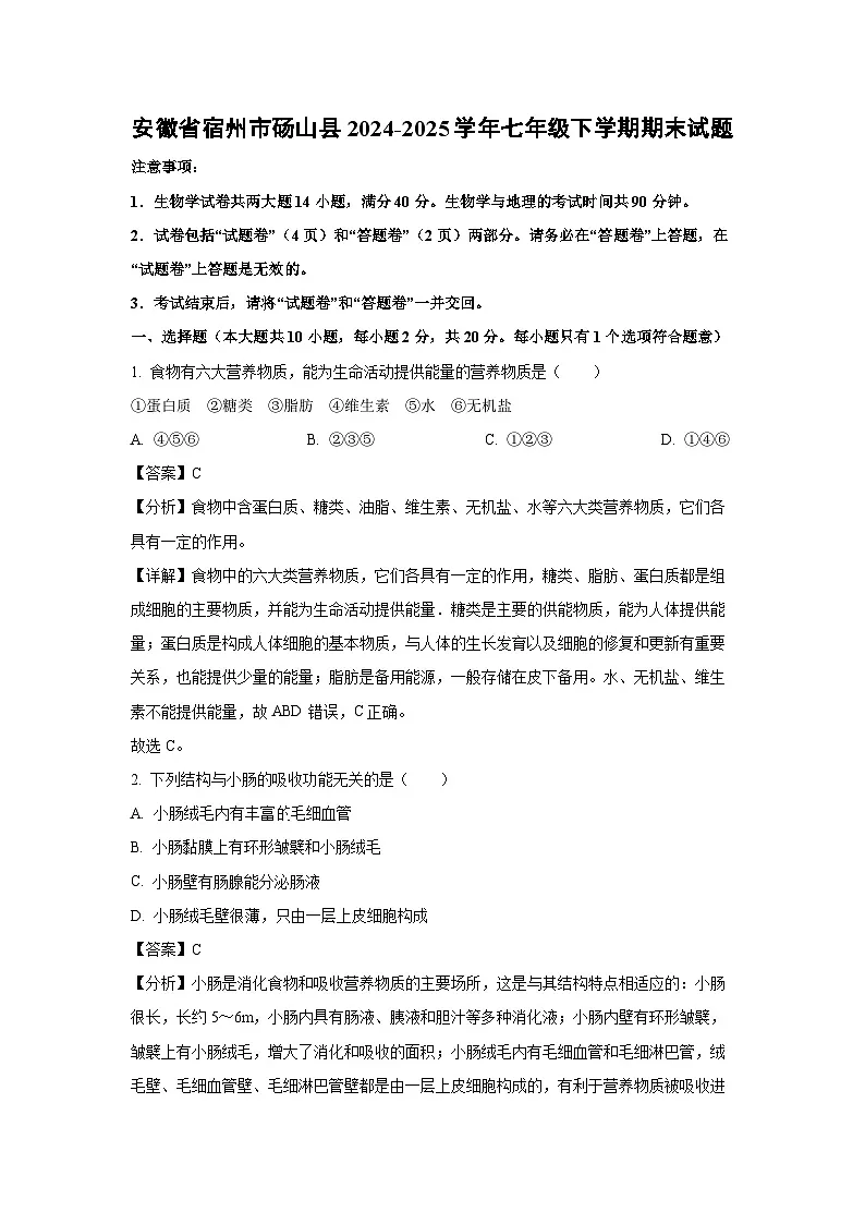 安徽省宿州市砀山县2024-2025学年七年级下学期期末生物试卷(解析版)第1页