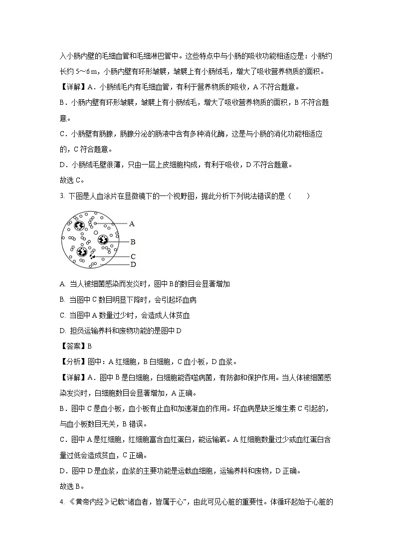 安徽省宿州市砀山县2024-2025学年七年级下学期期末生物试卷(解析版)第2页
