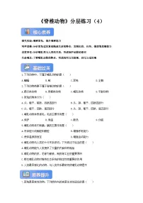 初中生物冀少版（2024）七年级上册（2024）哺乳类精品第4课时同步达标检测题