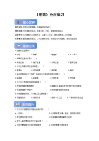 初中生物冀少版（2024）七年级上册（2024）细菌优秀精练