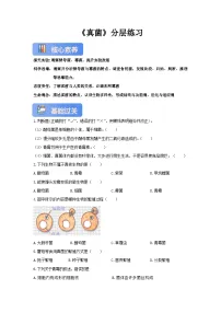 初中生物冀少版（2024）七年级上册（2024）真菌精品课时作业