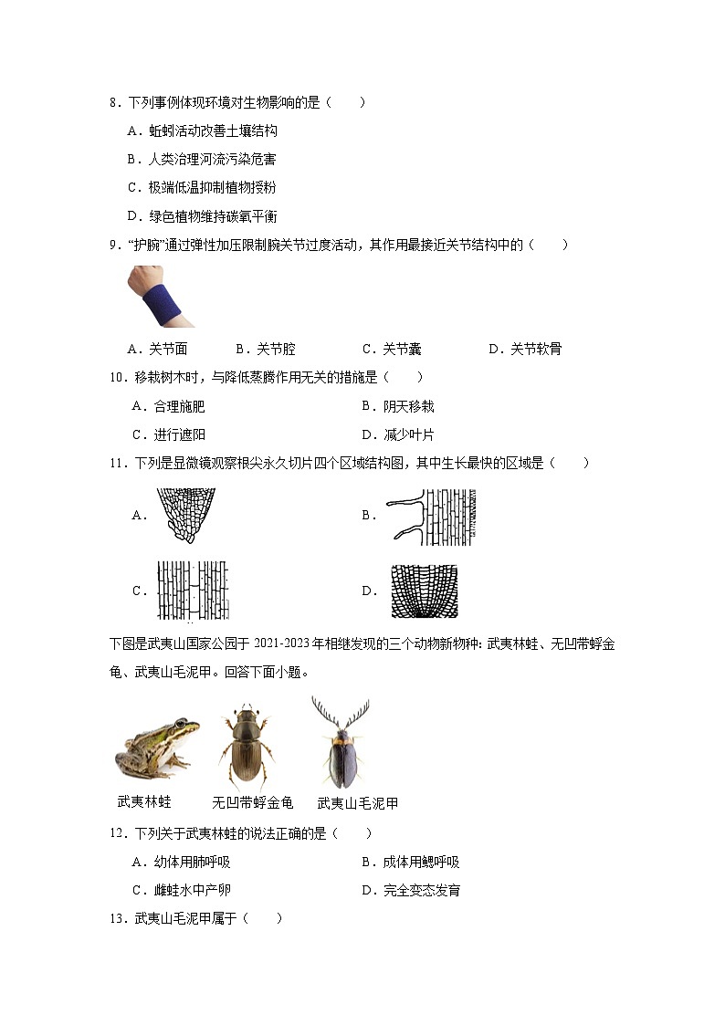 2025年福建省泉州市石狮市中考二模生物试题(附答案解析)第2页