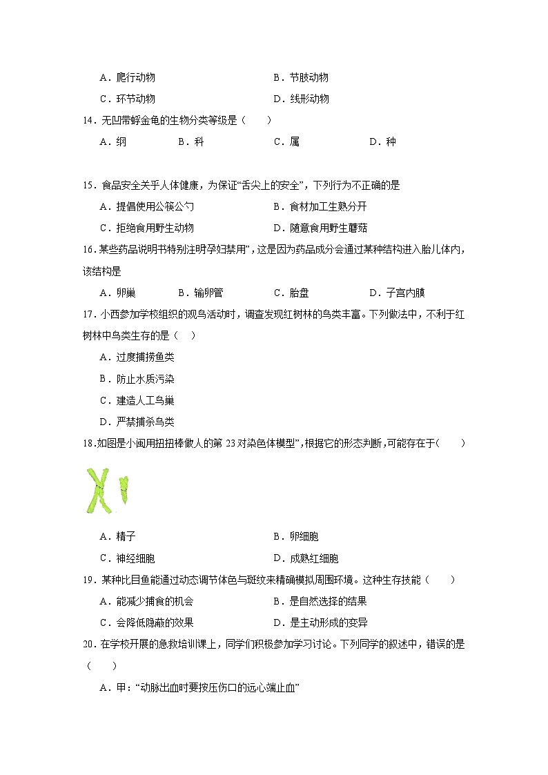 2025年福建省泉州市石狮市中考二模生物试题(附答案解析)第3页