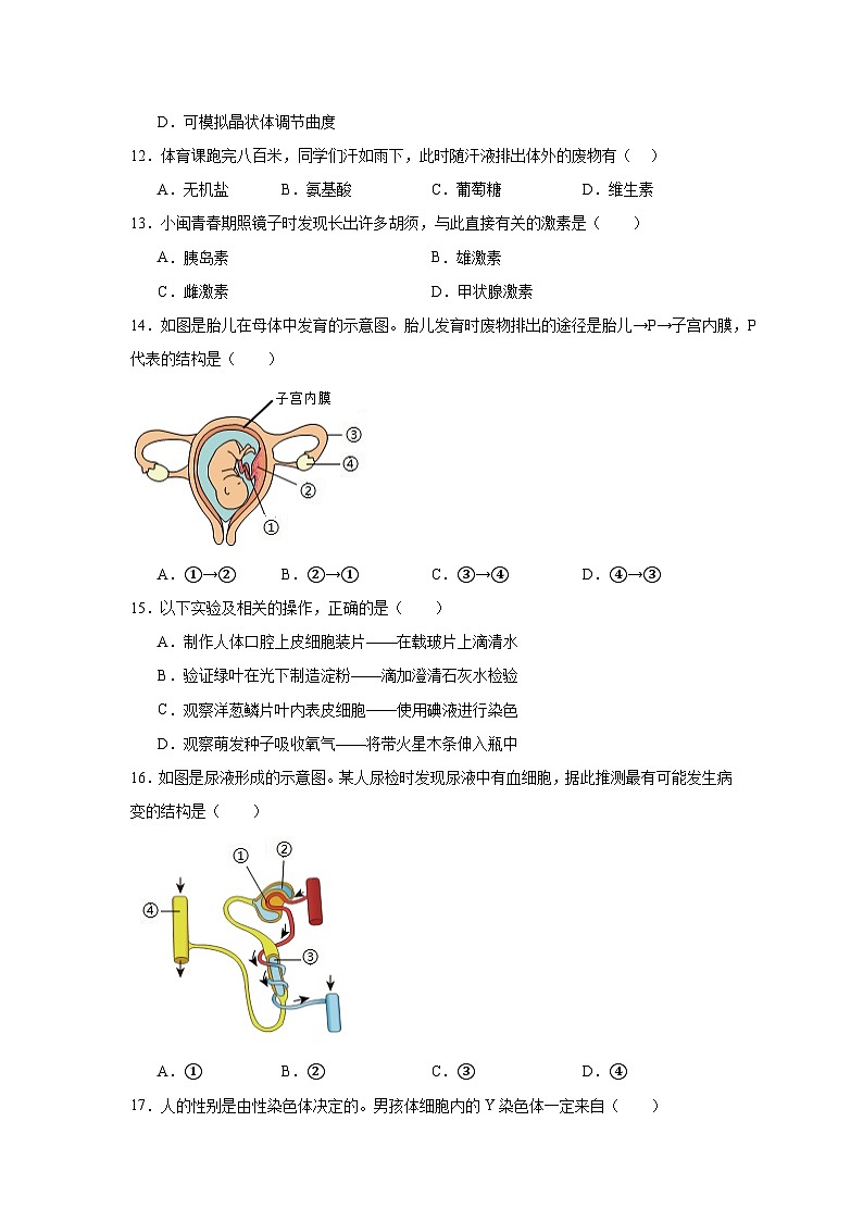 2025年福建省泉州市石狮市中考一模生物试题(附答案解析)第3页